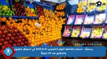 رسميًا.. أسعار الفاكهة اليوم الخميس 21-8-2025 في أسواق مطروح والبطيخ عند 20 جنيهاً